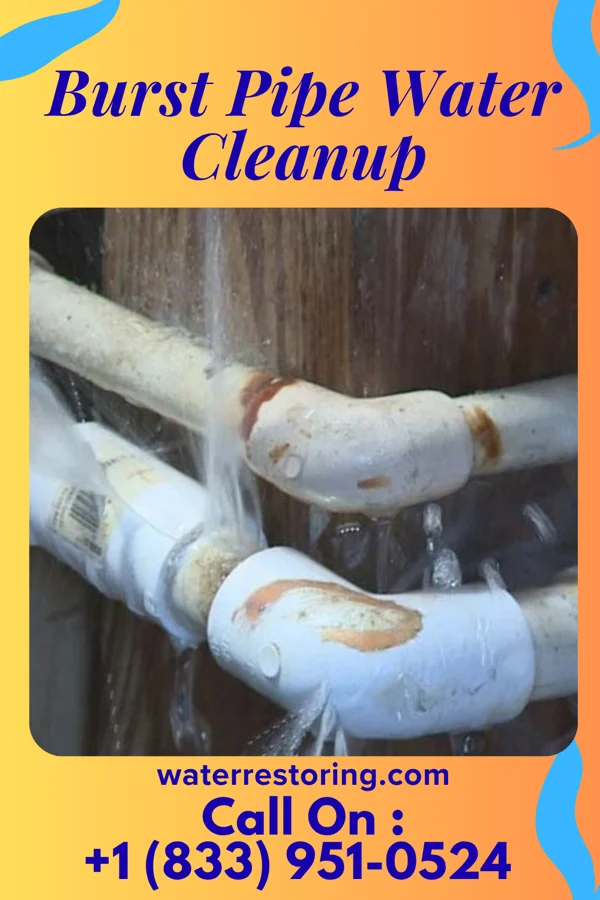 Burst Pipe Water Cleanup in Ainsworth, NE